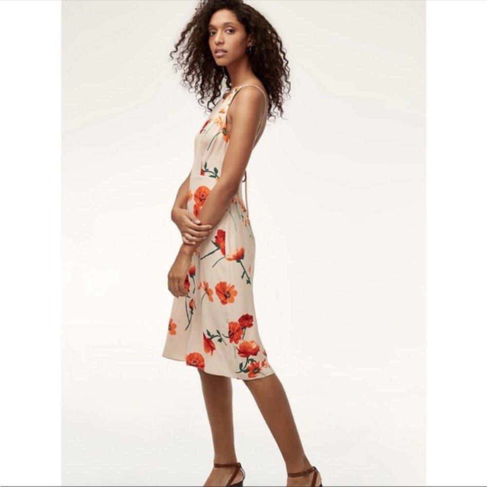Aritzia Wilfred Creneau Floral Slip Dress